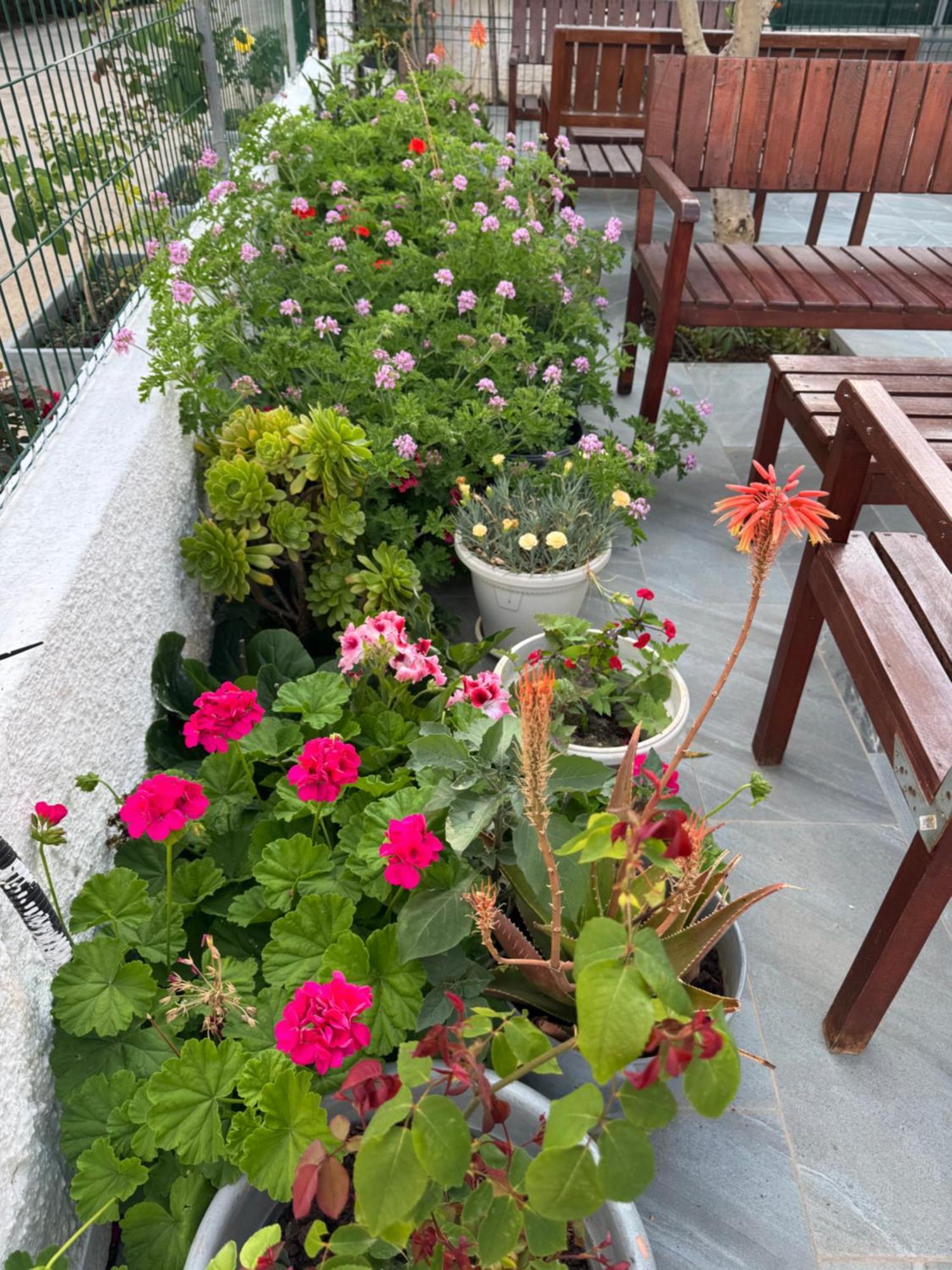 Central Garden Residence Sofia - Free Parking Ksamil Kültér fotó